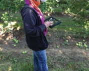 Orchard workers used tablets to answer questions about their work and symptoms of heat-related illness. (Courtesy Stacey Holland, PNASH)