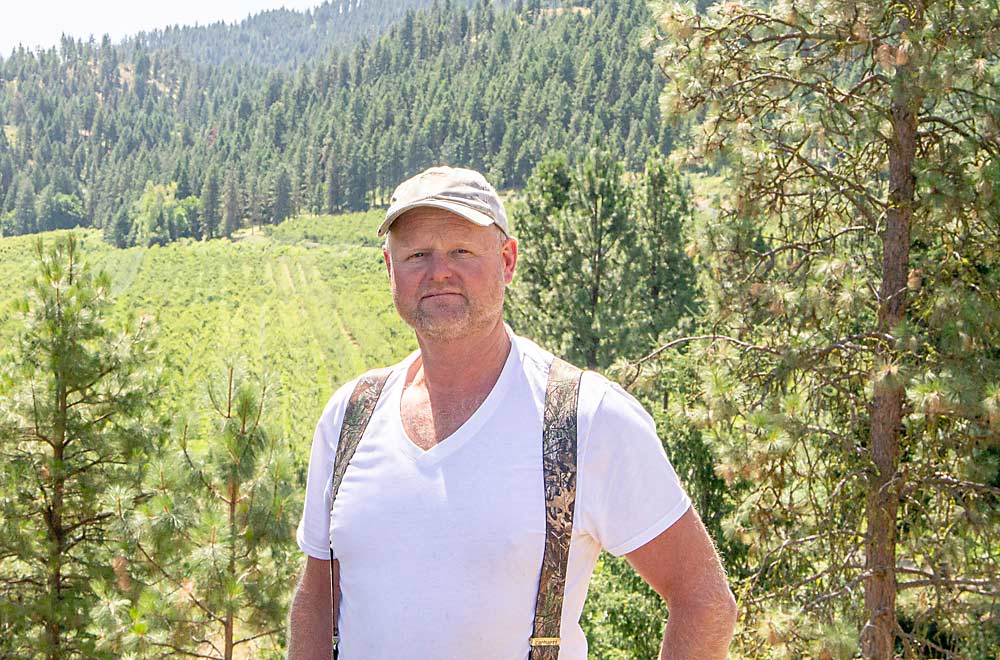 Leavenworth pear grower Rudy Prey was honored with the industry’s Silver Pear Award in 2019, recognizing his leadership and innovations in high-density plantings. Now, he says he can’t afford the risk of the investment in more high-density plantings. (Kate Prengaman/Good Fruit Grower)