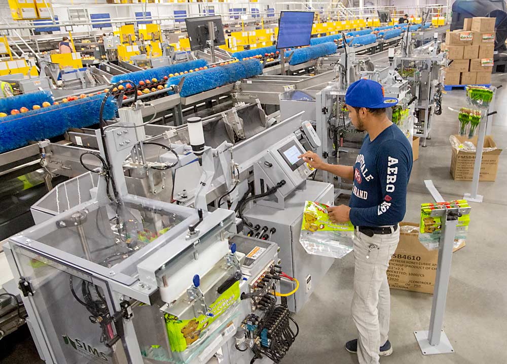 Justino Lopez replenishes 3-pound pouches and adjusts settings, operating all eight automated baggers by himself. (Ross Courtney/Good Fruit Grower)