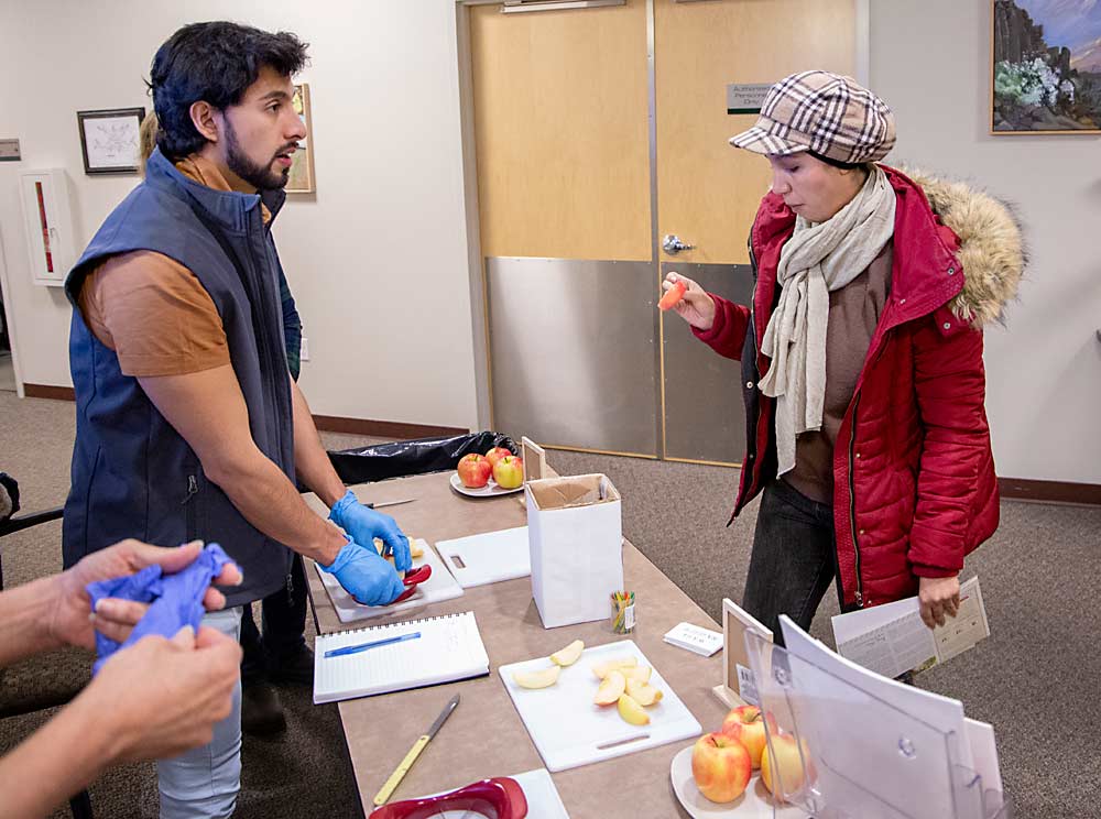 Fatima Kibbou, right, a postdoctoral research associate at Washington State University, tastes a slice of the WA 64 apple. Serving is Franklin Gordon Nuñez, an intern at the Washington Tree Fruit Research Commission. (Ross Courtney/Good Fruit Grower)