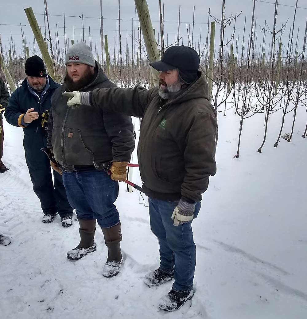 Steve Thome, right, and his son, Mitch, in front of a block of Aztec Fujis at Thome Orchards on Day 2 of IFTA’s Precise Vision 2020 winter tour in Grand Rapid, Michigan. (Matt Milkovich/Good Fruit Grower)