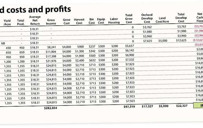 An example of one of Rod Farrow’s Excel spreadsheets. The retired New York grower plugs in estimated expenses and revenues to predict an orchard block’s long-term profitability before planting. If the internal rate of return, bottom right, is close to 25 percent, then planting that block is a pretty safe investment, he said. (Jared Johnson/Good Fruit Grower)