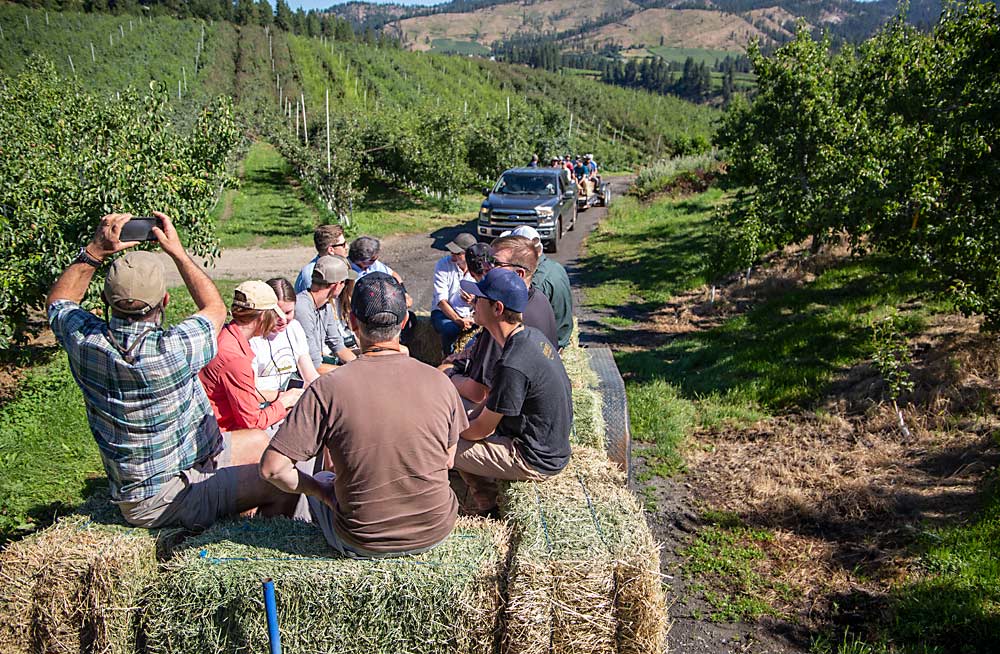 Attendees of the International Fruit Tree Association Summer Study Tour take a hayride to the top of Rudy Prey’s steep pear orchards on July 20 near Leavenworth, Washington. No way would the buses have made it. (Ross Courtney/Good Fruit Grower)