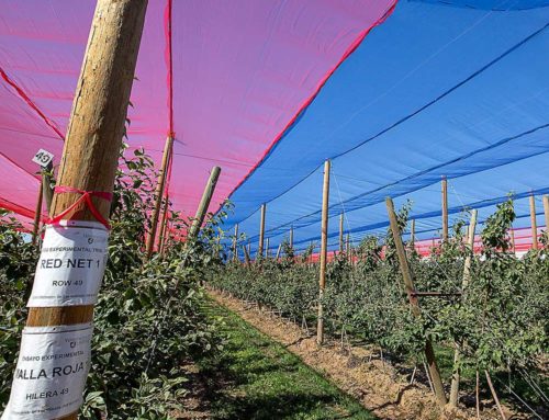 Research welcome: 2022 Good Fruit Growers of the Year