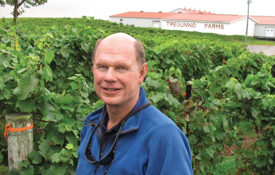 Phil Tregunno’s Tregunno Fruit Farms Inc. near Niagara-on-the-Lake, Ontario, Canada, has 700 acres of stone fruits and grapes. The grapes now account for a quarter of the farm’s production. Peter Mitham for Good Fruit Grower)