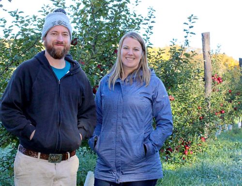 The good, the bad and the maybe for Minnesota cider apples