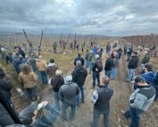 On the International Fruit Tree Association tour Feb. 13, attendees gather to hear grower Andrew Sundquist describe how his Moxee, Washington, farm converted old Brookfield Gala trees to multileader WA 38s through grafting. (TJ Mullinax/Good Fruit Grower)