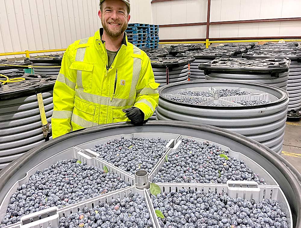 Brendon Anthony, senior director of fruit science for RipeLocker, checks on the loaded containers. The round lockers can hold some 650 pounds of blueberries and store them under vacuum pressure and low oxygen to protect quality for up to 60 days, Anthony said. (Courtesy RipeLocker)
