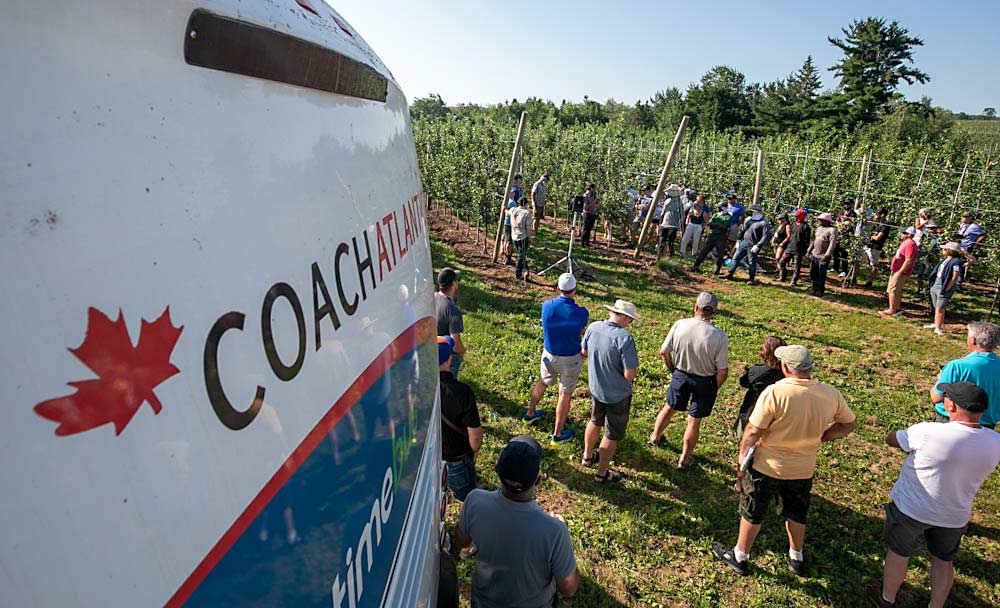 The International Fruit Tree Association visited Lutz Family Farm on day two of its summer tour of Nova Scotia, Canada. The Lutz family discussed rootstocks, thinning, and Ambrosia production and pruning. (TJ Mullinax/Good Fruit Grower)