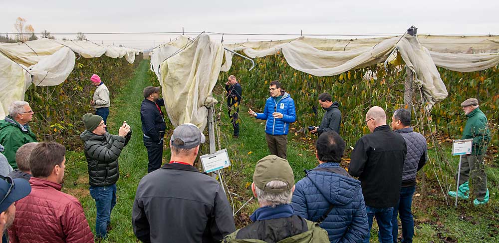 Diamanti leads the IFTA tour group in a discussion of the super-high-density spindle. (Ross Courtney/Good Fruit Grower)