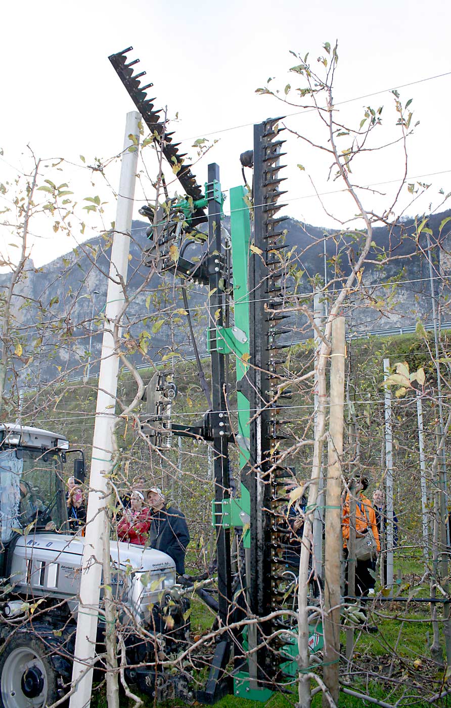 Italian growers avoided mechanical pruners for a long time because they didn’t like the way they made the trees look. But they’ve come around in recent years, due to cost considerations and changes in pruning strategies. This particular version includes a top sickle bar to keep the trees’ height at the top trellis wire. (Richard Lehnert/Good Fruit Grower)