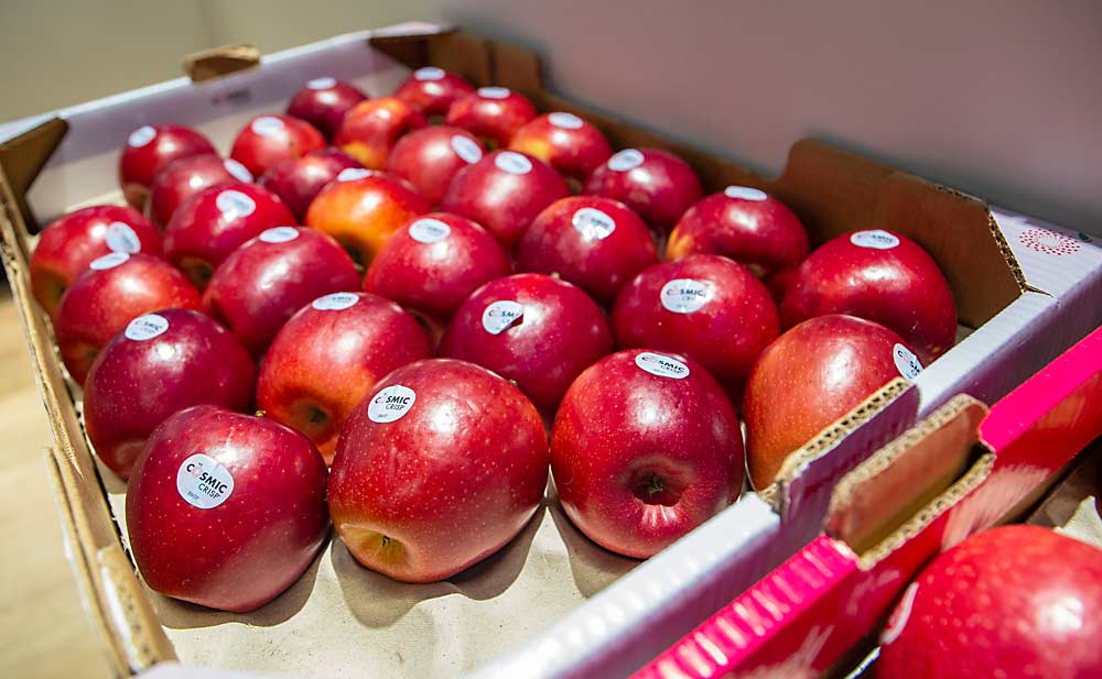 A box of Cosmic Crisp apples adorns the trade show booth of VOG and VIP, the two dominant production cooperatives in South Tyrol, where the bulk of Italy’s apples are grown. (Ross Courtney/Good Fruit Grower)