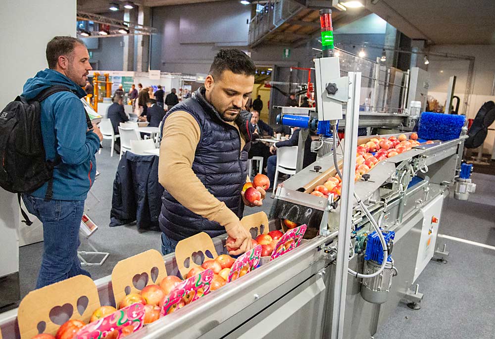 Hatim Yacine of Italian packaging company Sorma operates an apple boxing machine at the Interpoma apple trade show in November in Bolzano, South Tyrol, Italy. Interpoma vendors frequently hold live demonstrations of equipment. (Ross Courtney/Good Fruit Grower)