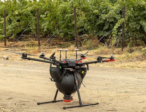 Hansen: Drones may help improve biocontrol in wine grapes