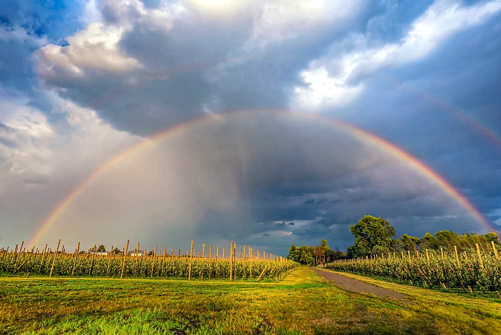 Linda Schamberger says she was in the “right time, right place” to capture this double rainbow over a Zingler Farms apple orchard in Hilton, New York, in September. “It was amazing and only lasted for about five minutes.” (Courtesy Linda Schamberger)