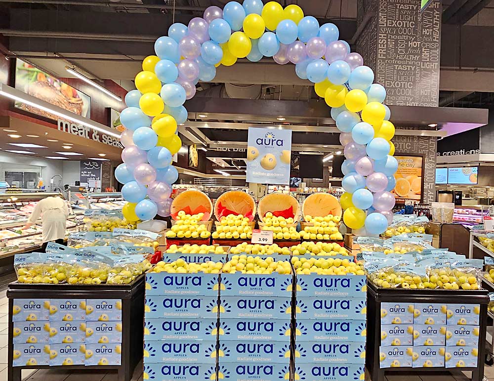 Introducing a new club variety requires eye-catching branding and displays, such as this Aura Apple display at a Toronto-area Longo Bros. Fruit Market in January, said Brianna Shales, marketing director of Stemilt Growers, which introduced the Aura Apple earlier this year. (Courtesy Stemilt Growers)