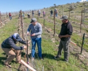 Vineyard manager Nick Mackay, center, and vineyard foreman Enrique Moreno, left, discuss pruning and tying strategies with new crew boss Luis Ruelas, while workers wait for instructions at Mercer Canyons in Alderdale, Washington, in March. (Ross Courtney/Good Fruit Grower)