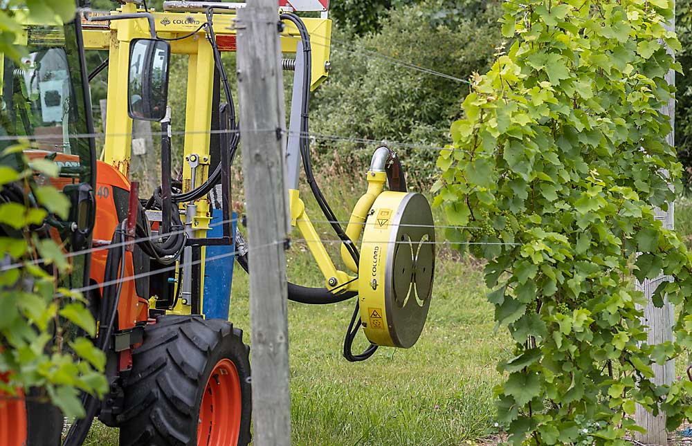 A Collard Leaf Remover shreds leaves in a Northwest Michigan vineyard last summer. More Michigan wine grape growers are adopting mechanical removal of leaves, based in part on research led by Michigan State University professor Paolo Sabbatini. (Matt Milkovich/Good Fruit Grower)