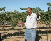 Naidu Rayapati gives a talk to growers in a vineyard near Prosser. (Photo courtesy Washington State University)