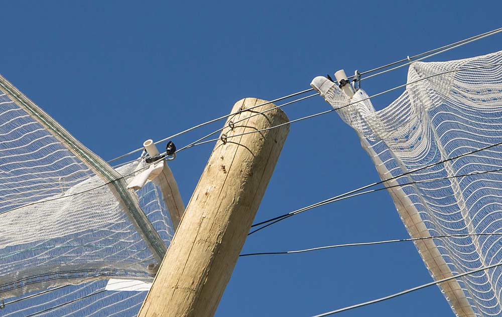 The retractable system, developed gradually by Washington growers and manufacturer Extenday, uses interconnected cables and carabiners to draw the nets back and forth over the trees and trellis system. (Ross Courtney/Good Fruit Grower)