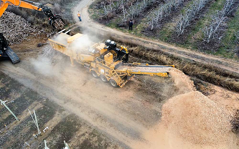 A wood chipper makes quick work of a removed orchard block near Quincy, Washington, in March. This process marks the first step for a new industry partnership known as The Soil Center, which aims to transform ag waste products from orchard and livestock operations into carbon-rich soil amendments. (Courtesy The Soil Center)
