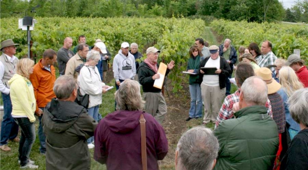 Northern Grapes Project Director Dr. Timothy Martinson speaks about the training system trials during a field day at Coyote Moon Vineyards in Clayton, NY. (Courtesy Chrislyn Particka, Cornell University)