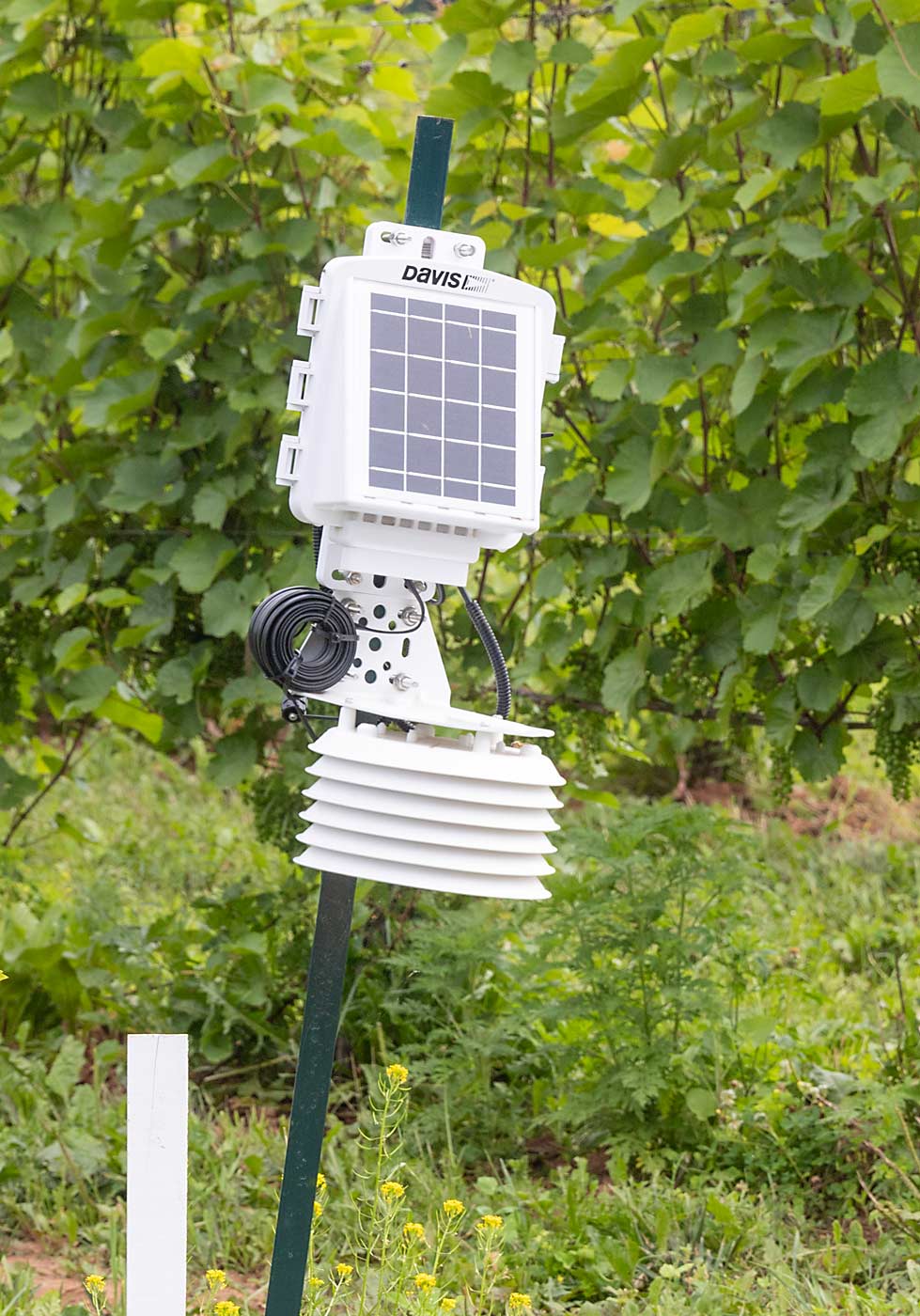 A weather station at Ellslea Farms. Like other fruit-growing regions, Nova Scotia has been grappling with less predictable weather patterns, requiring more tools to adapt. (Matt Milkovich/Good Fruit Grower)