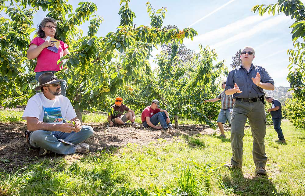 Mike Omeg of The Dalles, Oregon, discusses the benefits of soil amendments during a 2016 tour. Industry veterans, including Omeg, believe growers can and will rise to meet the challenges the cherry industry faces. (TJ Mullinax/Good Fruit Grower)