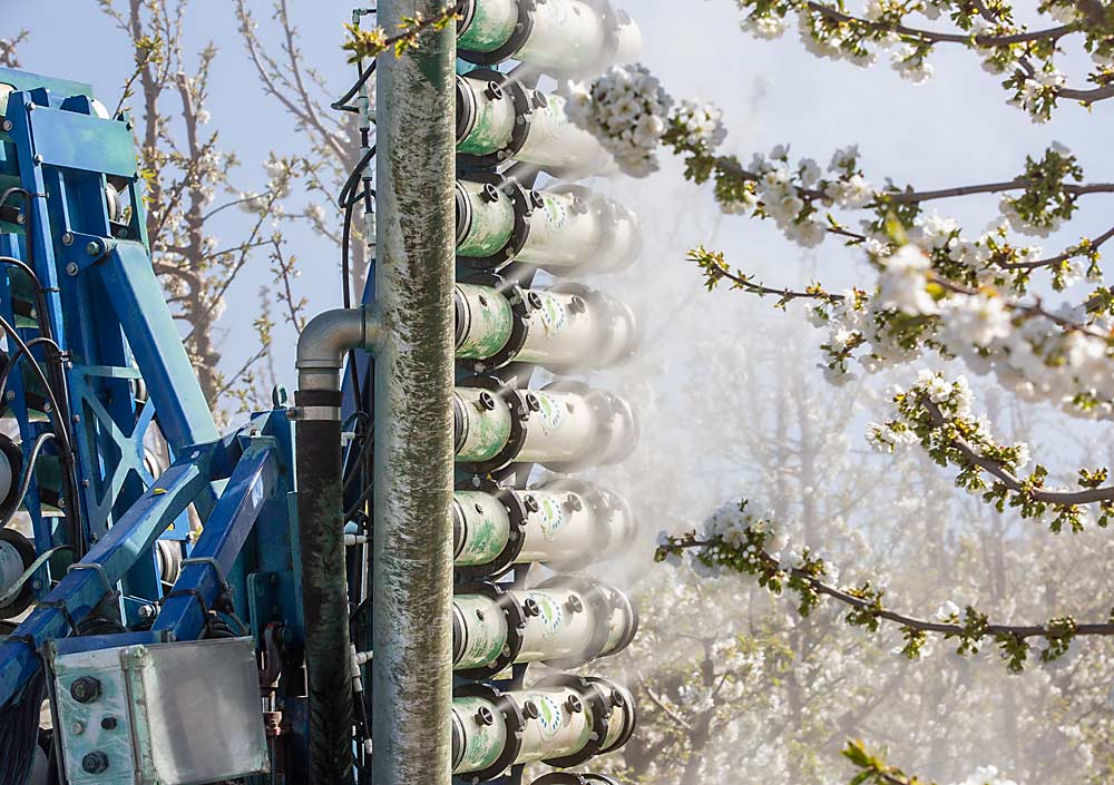 On Target sprayers emit a proprietary sugar-based pollen suspension, developed by Washington State University, through electrostatic spray manifolds that create a charged field that helps the pollen stick to flowers. (Ross Courtney/Good Fruit Grower)