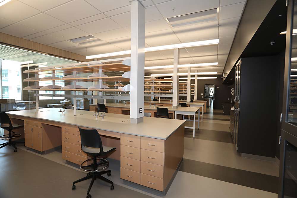 Lab space inside Washington State University’s new Plant Sciences Building in Pullman, which was unveiled with a video tour after construction was completed this fall. (Courtesy Washington State University)