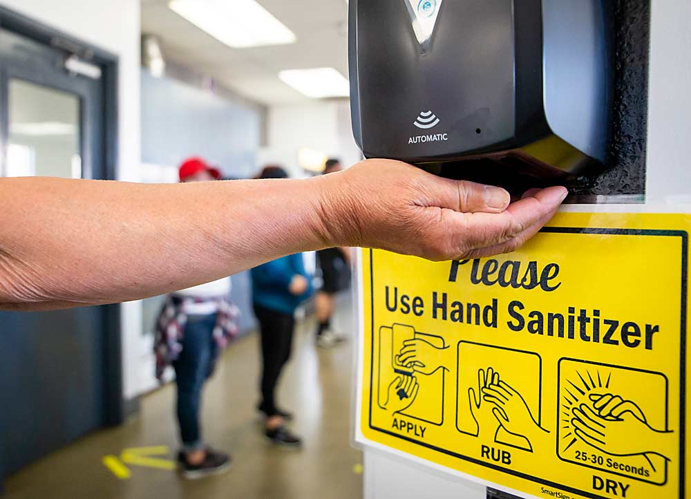 Extra hand sanitizer dispensers, like this one in the clock-in room at Matson Fruit, were among the company’s many extra expenses related to the coronavirus. The pandemic is taking a financial toll on the fruit industry, as packing houses spend tens of thousands of dollars to improve hygiene and allow for social distance, growers set aside extra housing and farmworkers struggle with fewer hours. (Ross Courtney/Good Fruit Grower)