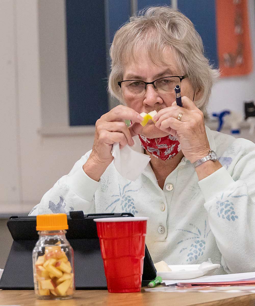 Karen Weller, Washington State University scientific assistant, smells a Bartlett pear sample during a taste training in September at WSU’s Food Science and Human Nutrition Building in Pullman. (Cole Quinn/for Good Fruit Grower)