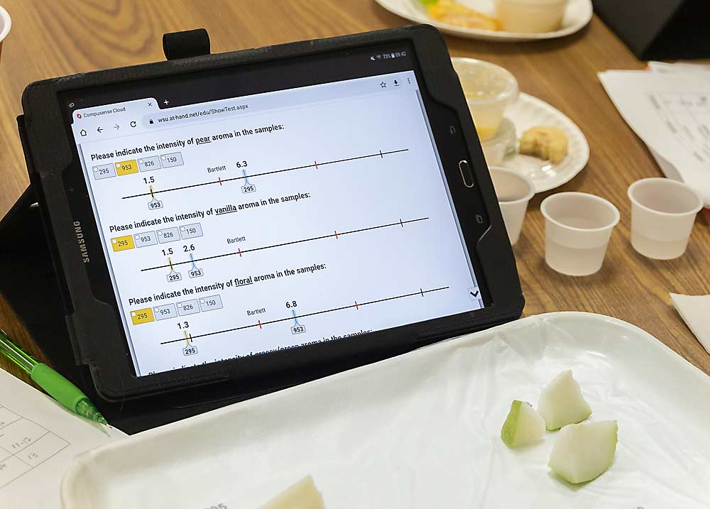 Questions on the pear evaluation form ask participants to grade different attributes, including aromas, of sample fruit. (Cole Quinn/for Good Fruit Grower)