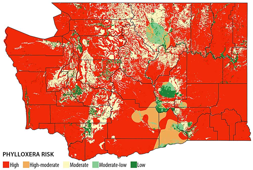 This grape phylloxera risk map, developed by Washington State University, uses soil texture and soil temperature suitability to show that many of the state’s grape growing regions are more susceptible to phylloxera than previously thought. The mapping effort was supported by the state’s wine industry. (Courtesy Washington State University)
