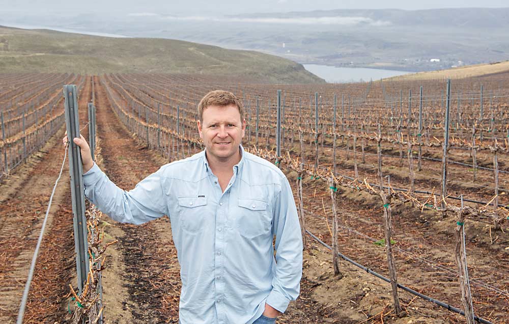 Bean, onion and wheat farmer Steele Brown has planted Golden West Vineyards at the urging of a winemaker. The planting includes 500 acres of Pinot Noir near Vantage, Washington, a region not known for the variety. (Ross Courtney/Good Fruit Grower)