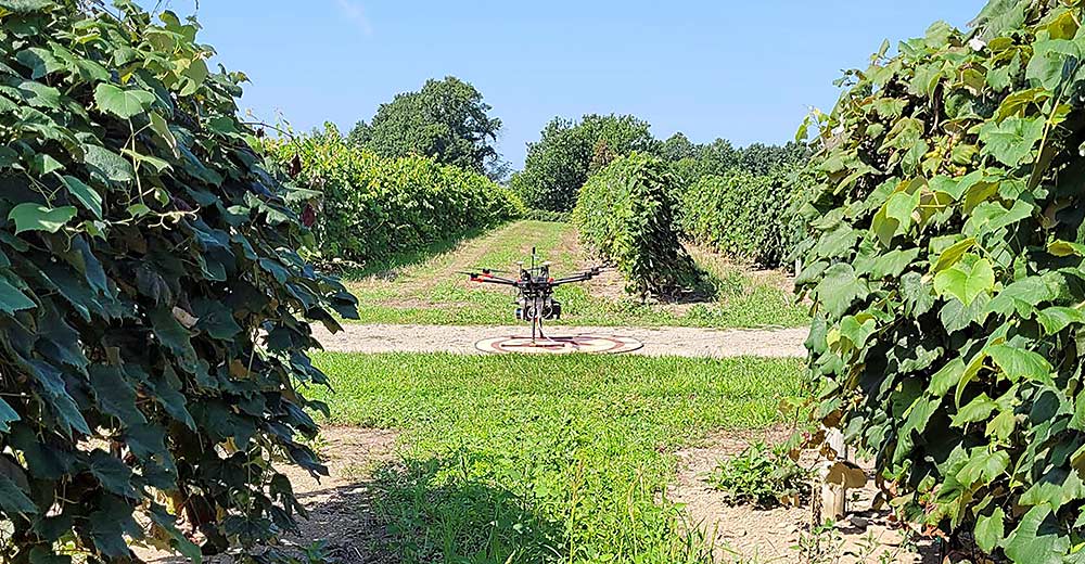 A drone at rest in a Cornell Lake Erie Research and Extension Laboratory vineyard in Portland, New York. Cornell researchers deploy various sensors on drones they fly over vineyards to capture viticultural data. (Courtesy Terry Bates/Cornell University)