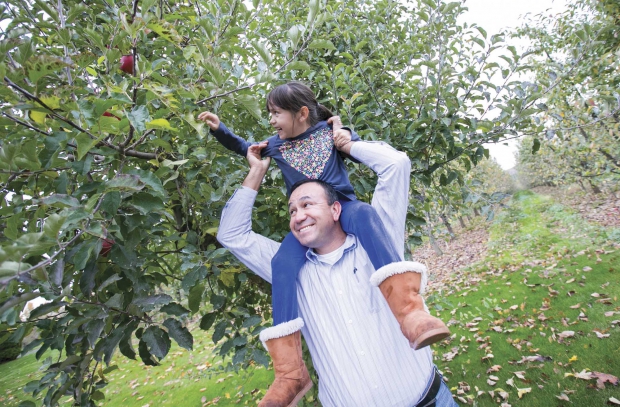 José Ramirez, from Stein Manzana Orchards, with his 6-year-old daughter RosaLynn standing in front of the first apple tree of the same name at his orchard near Royal City, Washington on November 03, 2014. (TJ Mullinax/Good Fruit Grower)