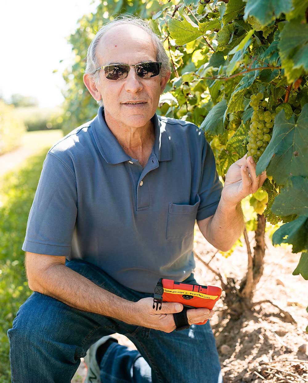 Bruce Reisch, leader of Cornell University’s Grapevine Breeding and Genetics Program and co-director of the VitisGen2 project, which is developing a new approach to refine and speed grape breeding programs. (Courtesy Cornell University)