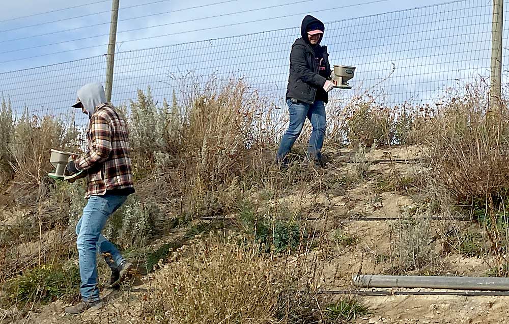 Jose Lopez, left, and Sandra Cervantes scatter flower seeds in November 2022 on the freshly weeded bank of a Zirkle Fruit irrigation pond. (Courtesy Teah Smith/Zirkle Fruit)