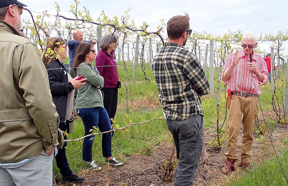 While speaking to a group of growers in northwestern Lower Michigan last summer, viticulture consultant Richard Smart of Australia (with microphone) touted the benefits of the Scott Henry trellis system: “more yield, better wine and less diseases” in comparison with VSP. The vines in this photo, taken at Shady Lane Cellars on the Leelanau Peninsula, are using a high cordon training system with additional bilateral cordons trained to the midwire. (Leslie Mertz/for Good Fruit Grower)