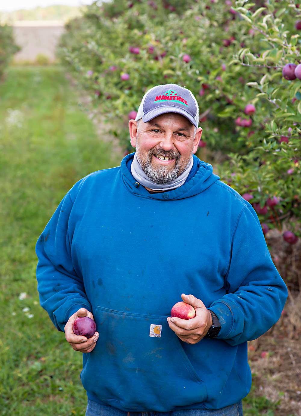 At Manitree Fruit Farms near Blenheim, Ontario, Brian Rideout uses a number of water-management approaches on his 400-plus acres. All of his orchards, which include 140 acres in apples, 60 in peaches, 20 in pears and 25–30 in tart cherries, are equipped with drain tiles, set 2–3 feet deep and spaced 24–30 feet apart. To prevent compaction due to increasing use of heavy equipment in the orchard, he adjusts tire widths to reduce rutting and filling remaining ruts with wood chips. (Courtesy Brian Rideout/Manitree Fruit Farms)