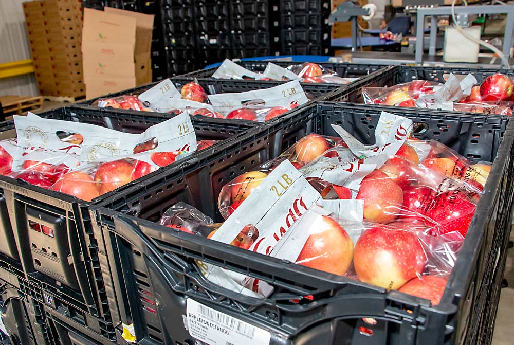 Bags of SweeTango at Elite Apple. These bags were packed for delivery to Walmart. (Matt Milkovich/Good Fruit Grower)