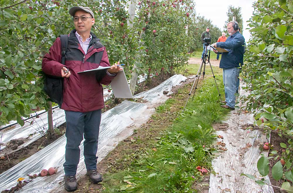 Long He, left, and Daniel Weber observe the Bandit Cyclone in action at Riveridge Produce Marketing in Sparta, Michigan, last October. The two Penn State researchers were recording number of apples picked, time spent driving down the row, time spent changing bins and time spent switching rows. They hope to trial the machine in Pennsylvania in fall 2020. (Matt Milkovich/Good Fruit Grower)