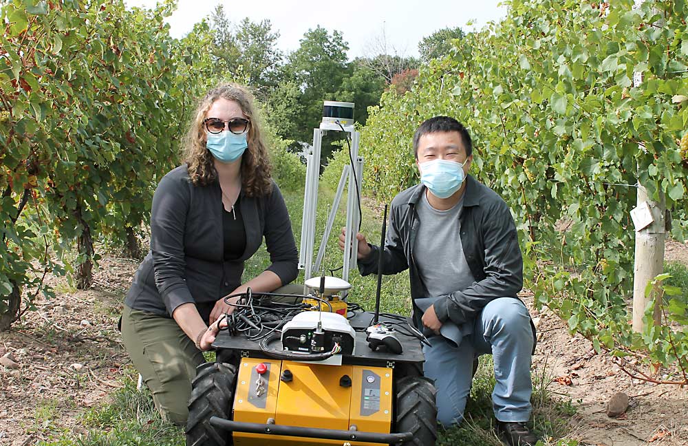 Katie Gold, left, and Cornell assistant research professor Yu Jiang with a prototype version of the PhytoPatholoBot, the autonomous vineyard robot developed by Jiang’s research group. Gold and Jiang developed a computer vision model for the robot that’s capable of detecting downy mildew with 90 percent accuracy. (Courtesy Katie Gold/Cornell University)