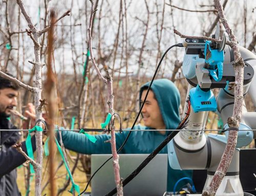 Pruning robot makes the first cut