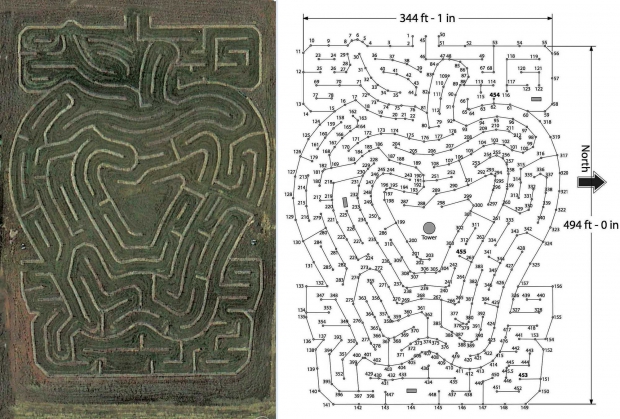 Plan for A-Maze-N' Apple maze. (Courtesy Dennis Norton, Royal Oak Farm Orchard)