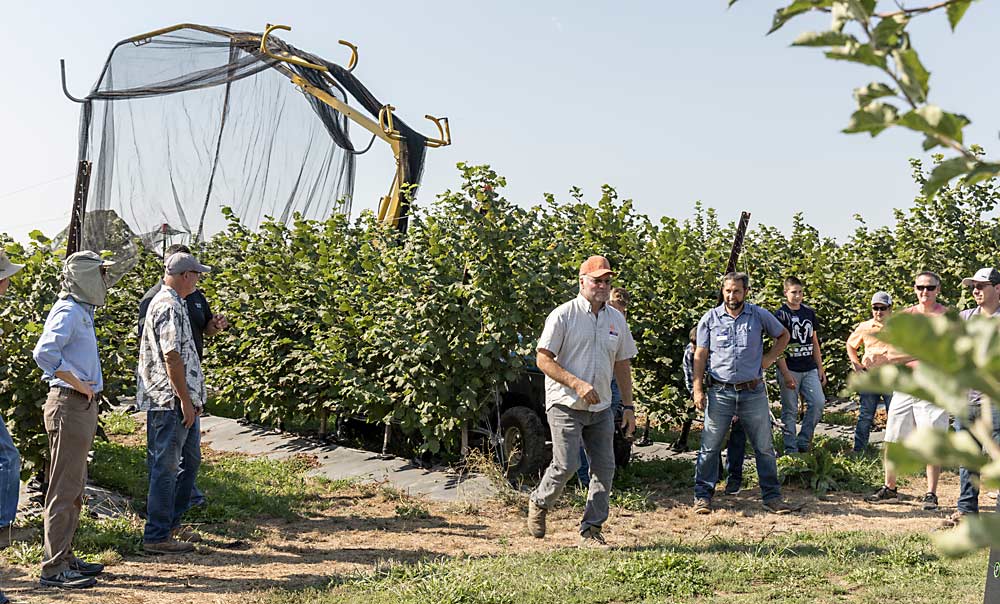 중앙의 Jeff Weijohn은 8월에 자신의 Wapato 농장에서 필드 데이를 주최하여 그 뒤에 보이는 사과에서 영감을 받은 고밀도 재배 및 드레이프 그물을 포함하여 동부 워싱턴에 헤이즐넛 생산을 적응시키는 것에 대해 이야기합니다.  (Kate Prengaman/Good Fruit Grower)