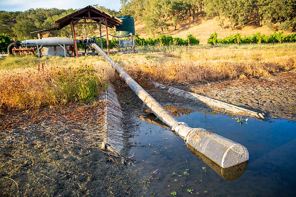 Water in an irrigation pond drops below a pump in early August at a Mendocino County, California, vineyard. Wine grape growers in dry areas of California have learned a few tricks to produce grapes with little to no irrigation. (Ross Courtney/Good Fruit Grower)