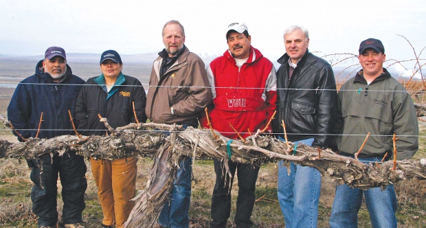 Some of the old vines at Sagemoor Vineyards are big enough for a group to stand behind. From left to right: Sagemoor employees Victor Perez; Carmen Rodriguez; Kent Waliser, general manager; Servando Rodriguez, orchard manager; Sagemoor co-owner John Vitalich; and Derek Way, vineyard manager. (Courtesy Sagemoor Farms)