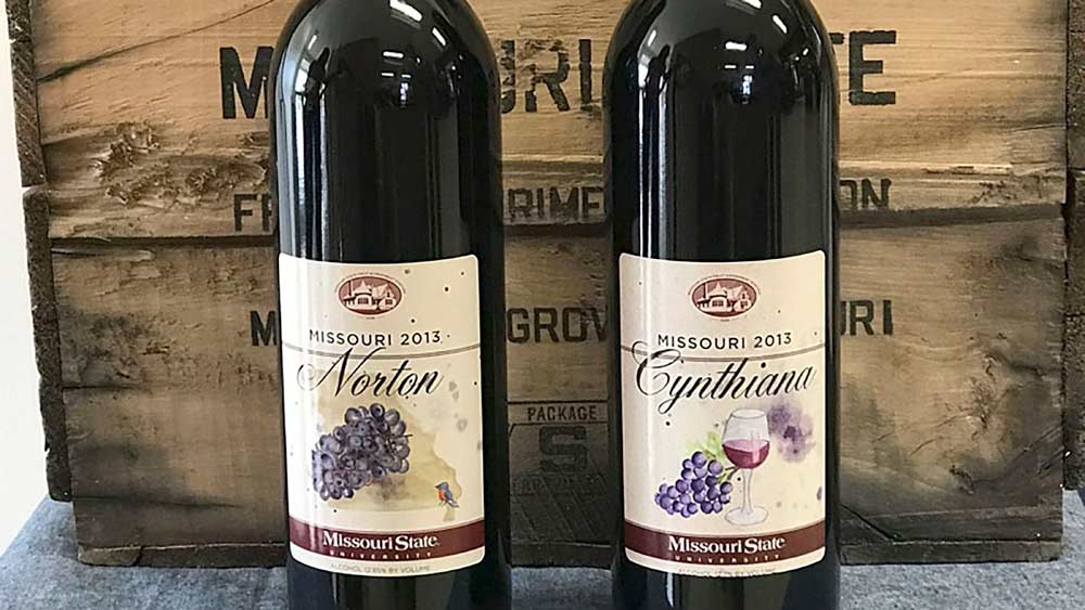 Though they have different names, new research from Missouri State University has found that Norton and Cynthiana wine grapes are genetically identical. (Courtesy Missouri State University)